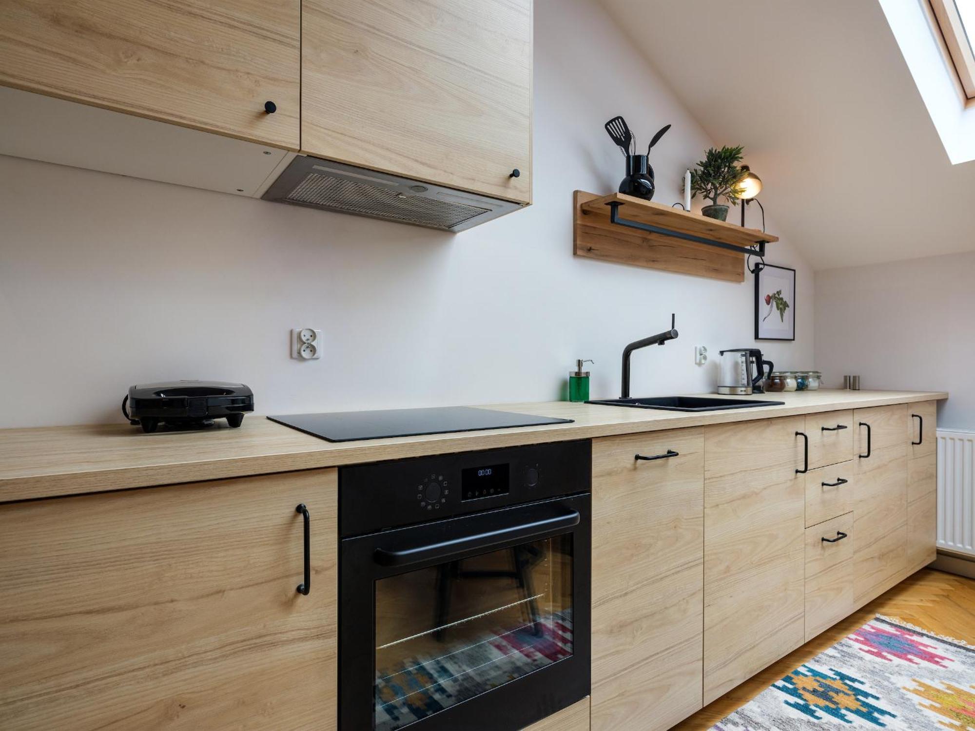 Tyzenhauz Apartments Siemiradzkiego Street Kraków Zewnętrze zdjęcie