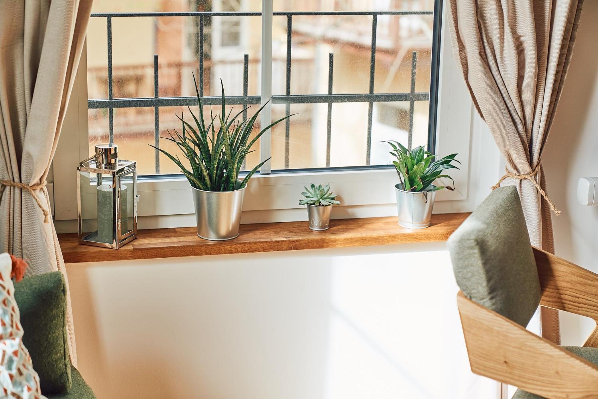 Tyzenhauz Apartments Siemiradzkiego Street Kraków Zewnętrze zdjęcie